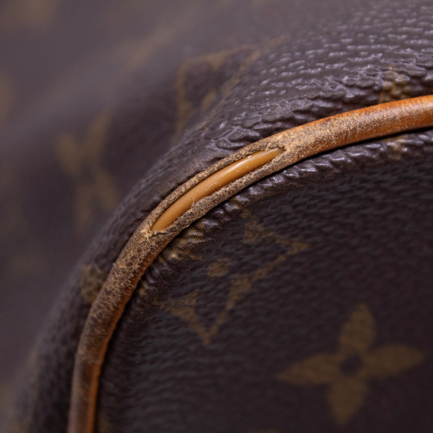 Louis Vuitton Palermo Gm Monogram