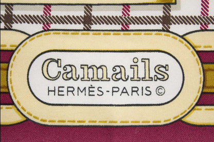 Hermès Foulard Camails