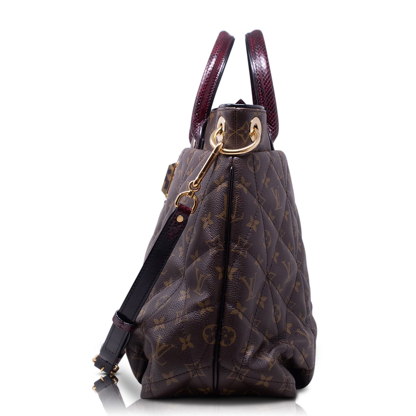 Louis Vuitton Etoile Exotique MM Limited Edition