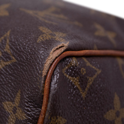 Louis Vuitton Speedy 30 Monogram