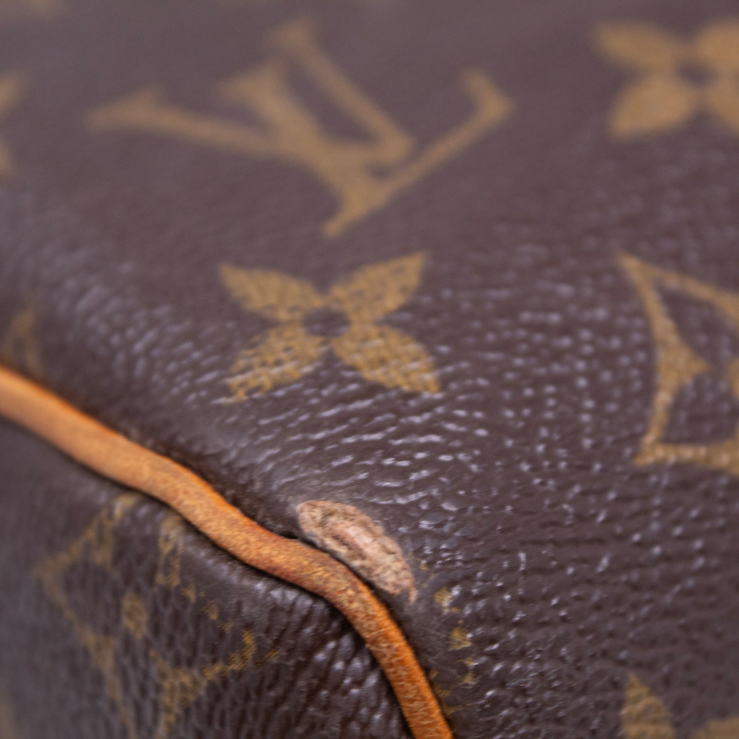 Louis Vuitton Speedy 30 Monogram