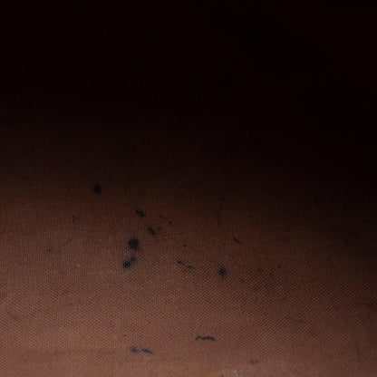 Louis Vuitton Speedy 30 Monogram 