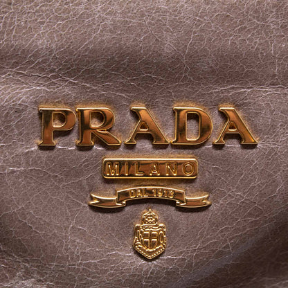 rada Shopper Shine Fumo